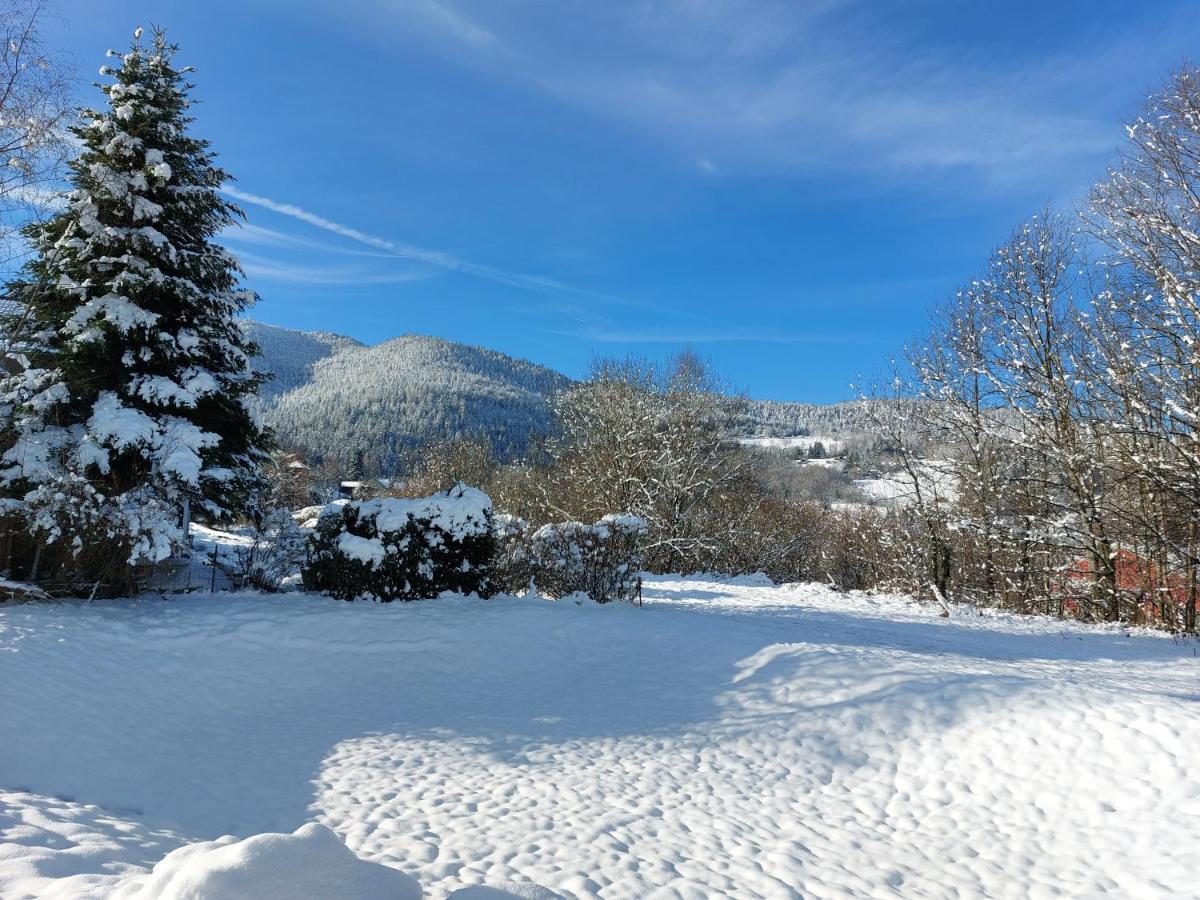 Au Bonheur Fait Maison Saint-Maurice-sur-Moselle Exterior foto